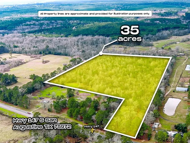 a view of swimming pool with a garden and plants
