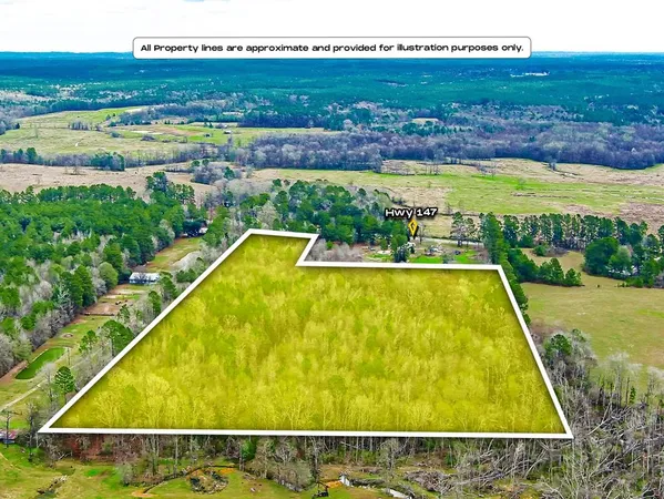 $89,000 | Apn 0006640 Hwy 147 S, San Augustine, TX 75972