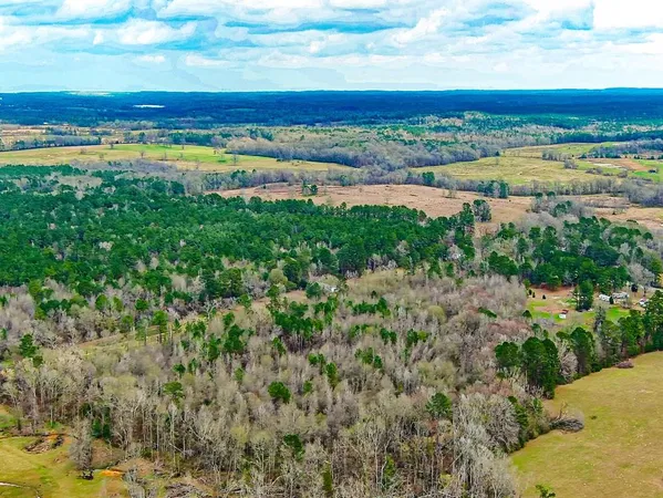 $89,000 | Apn 0006640 Hwy 147 S, San Augustine, TX 75972