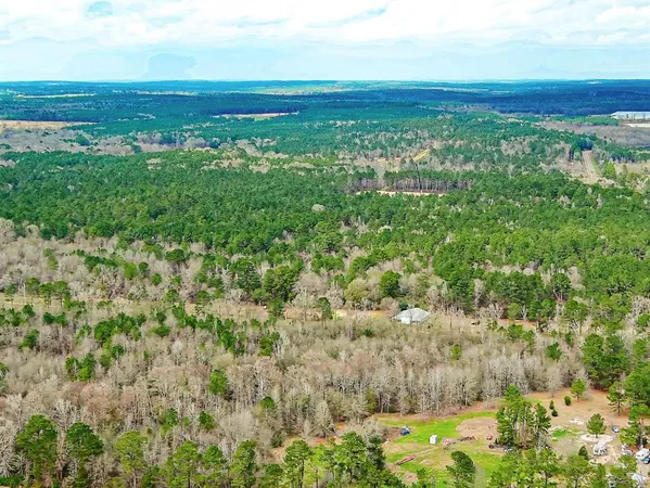 $89,000 | Apn 0006640 Hwy 147 S, San Augustine, TX 75972