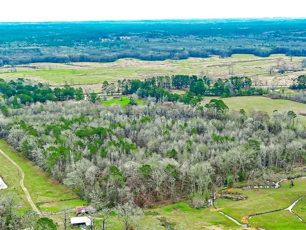 $89,000 | Apn 0006640 Hwy 147 S, San Augustine, TX 75972