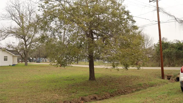 a view of yard with tree