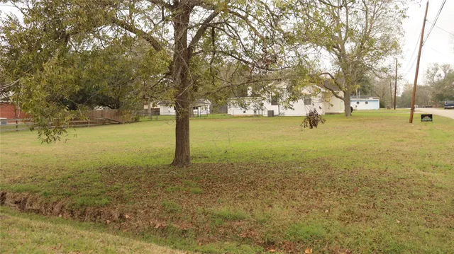 a view of yard with trees