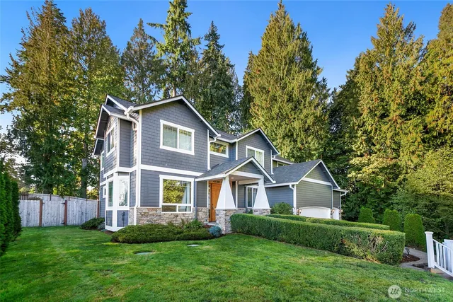 a view of a bunch of trees