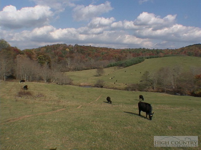 2-8 Pine Swamp Road Sparta, NC 28675 - Photo 3 of 7 Gallery Image 3
