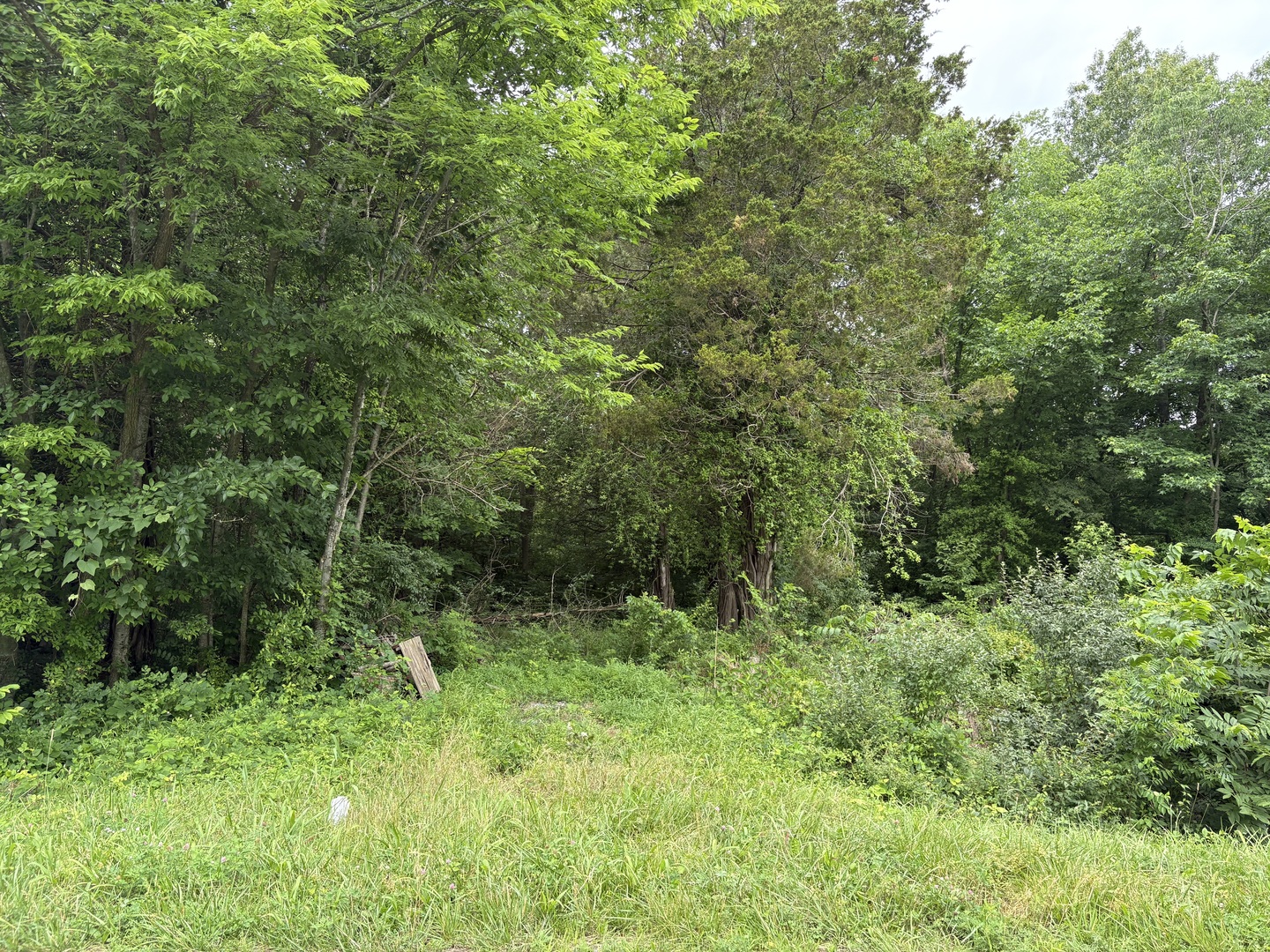 3258 Grassy Road Carbondale, IL 62902 - Photo 7 of 17