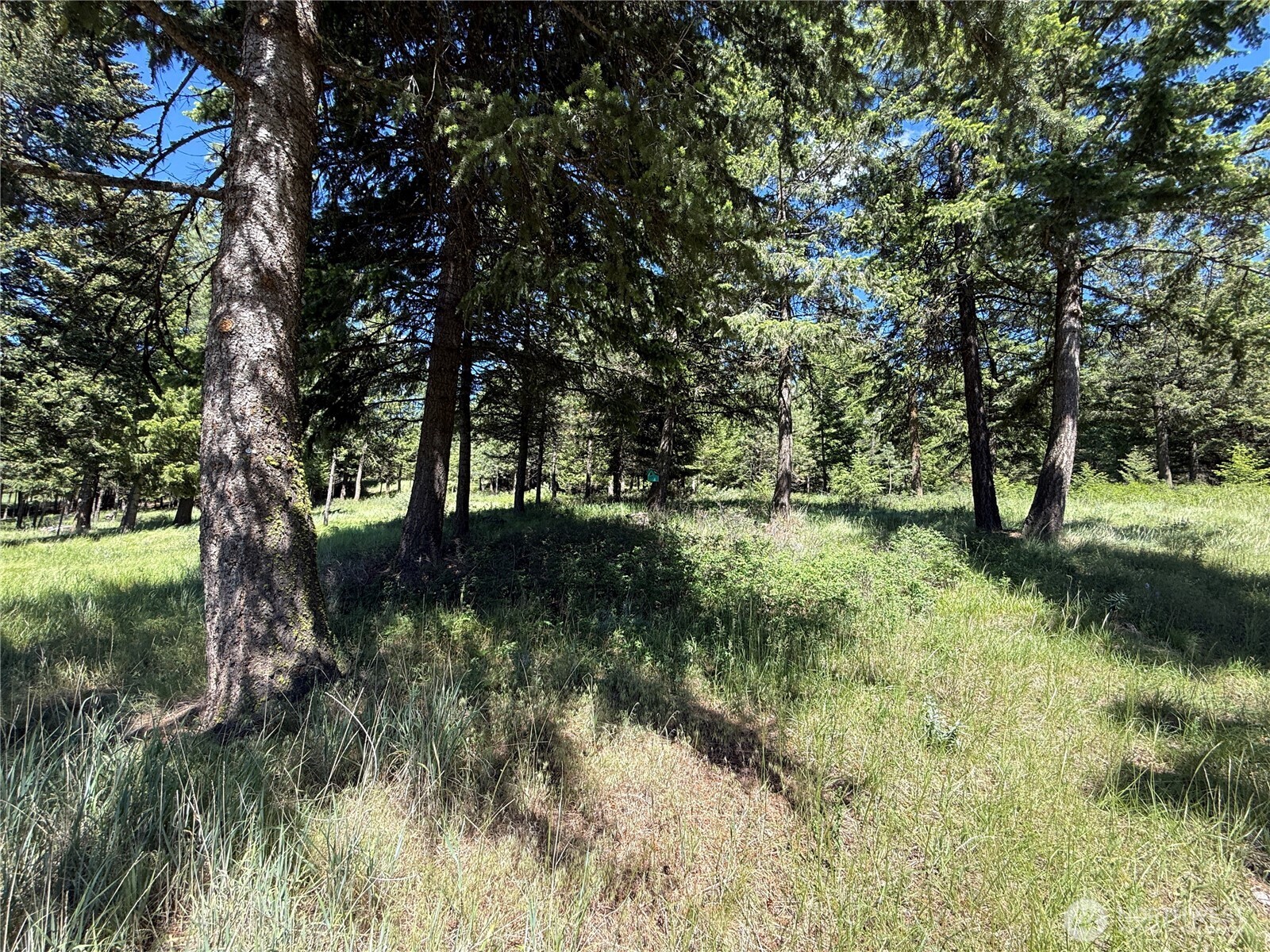 5 Hidden Spring Ranch Road Republic, WA 99166 - Photo 17 of 22