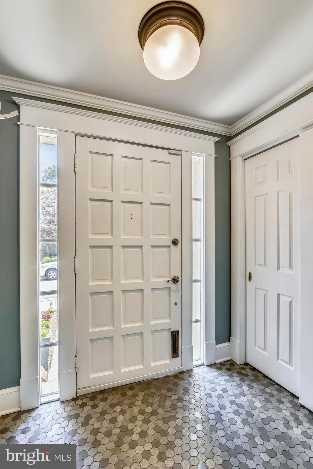 209 West Myrtle Street Alexandria, VA 22301 - Photo 6 of 57 Solid wooden doors and radiant heated tiles