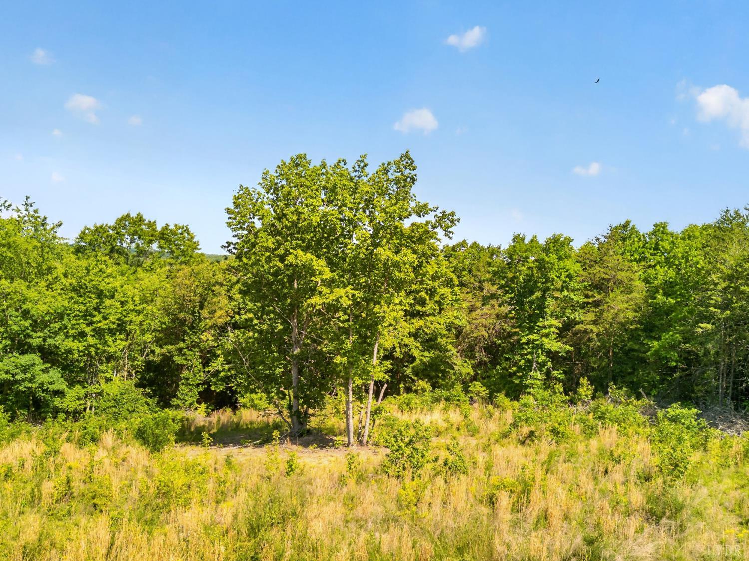0 Mohawk Road Long Island, VA 24554 - Photo 1 of 23