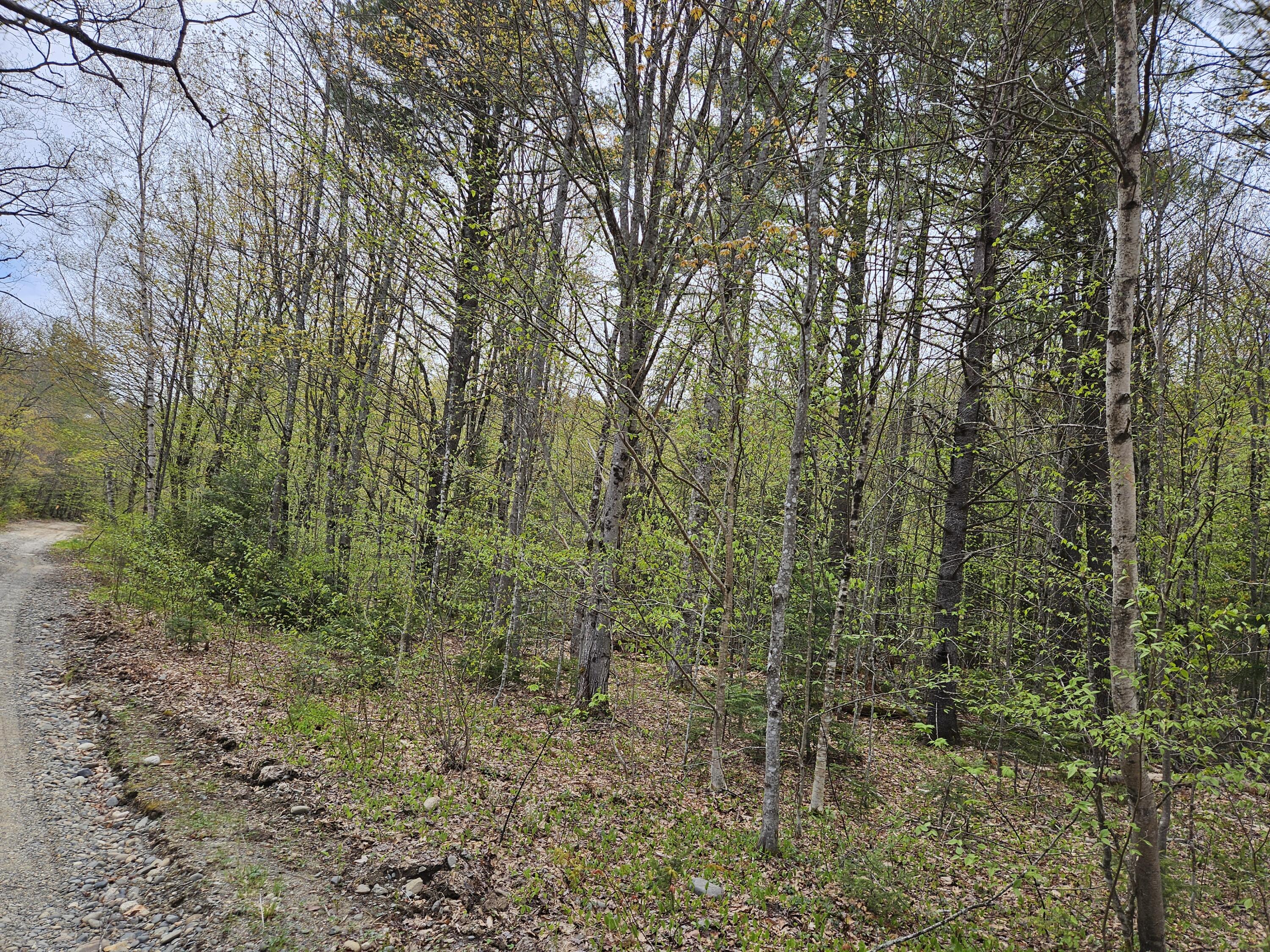 Mr02-l019 Holman Pond Road Temple, ME 04984 - Photo 9 of 40 Holman Lot 19