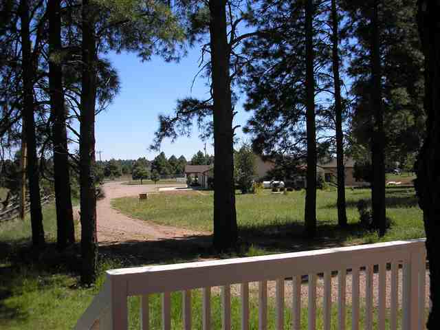 2182 Garnet Road Overgaard, AZ 85933 - Photo 2 of 5