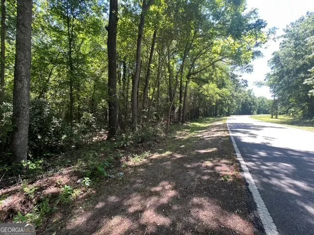 a view of a yard with a tree