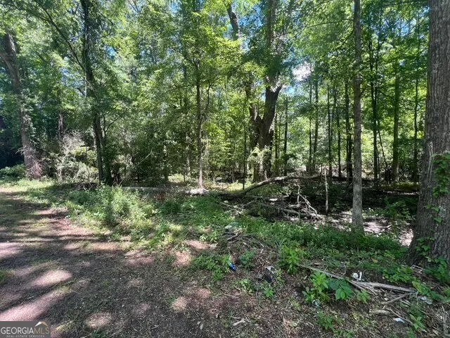 a view of outdoor space and tree