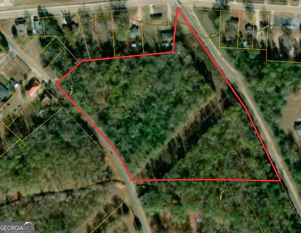 a view of a yard with plants