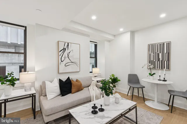 a living room with furniture and a potted plant
