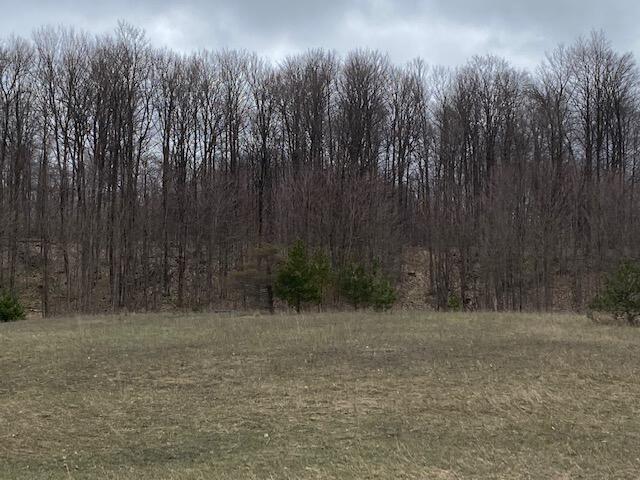 West Van Road Pellston, MI 49769 - Photo 3 of 6 Gallery Image 3