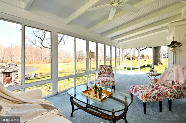 a view of a park with a tree in the background