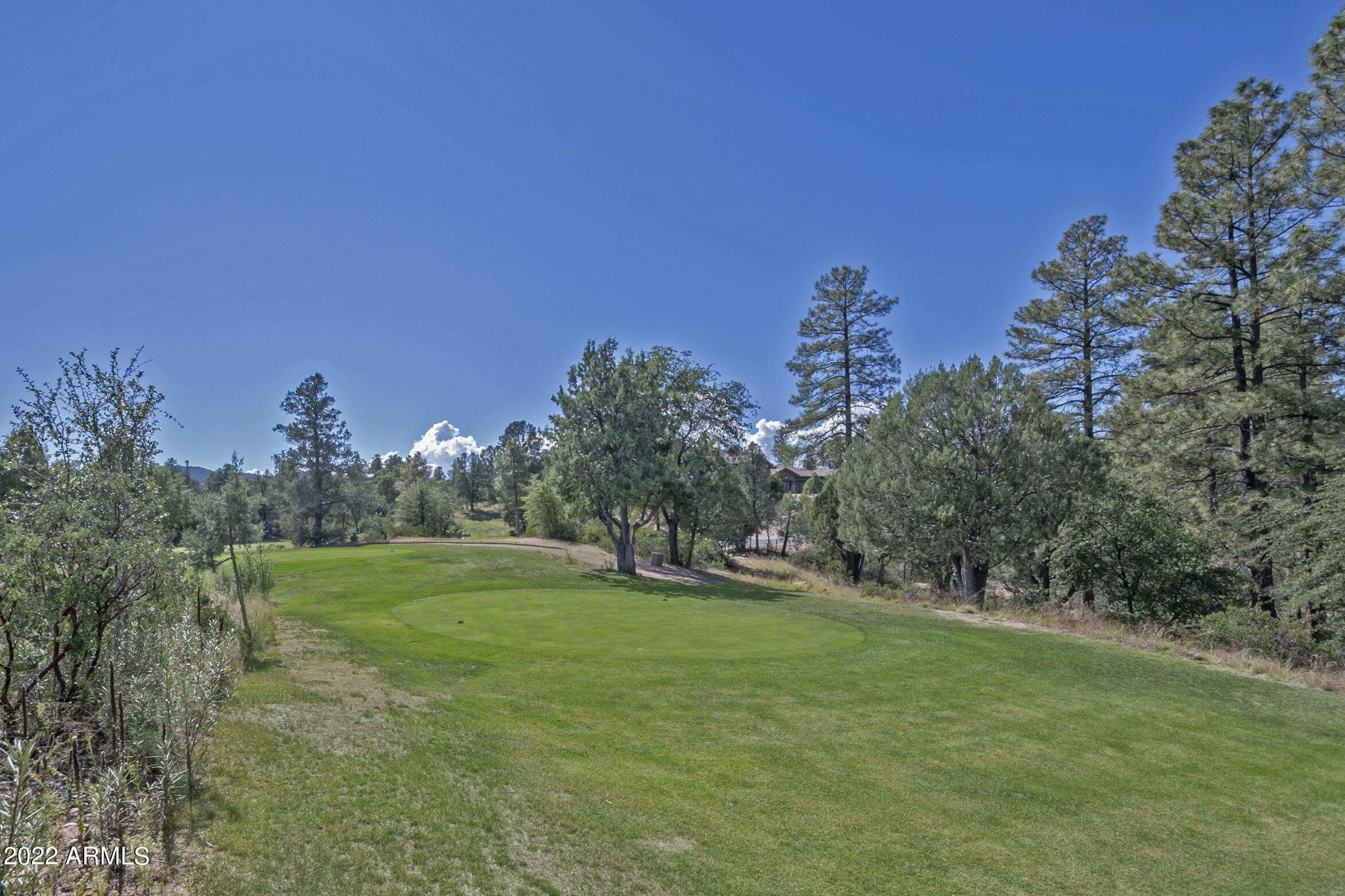 2800 East Rim Club Drive Payson, AZ 85541 - Photo 4 of 101 18th Tee Box
