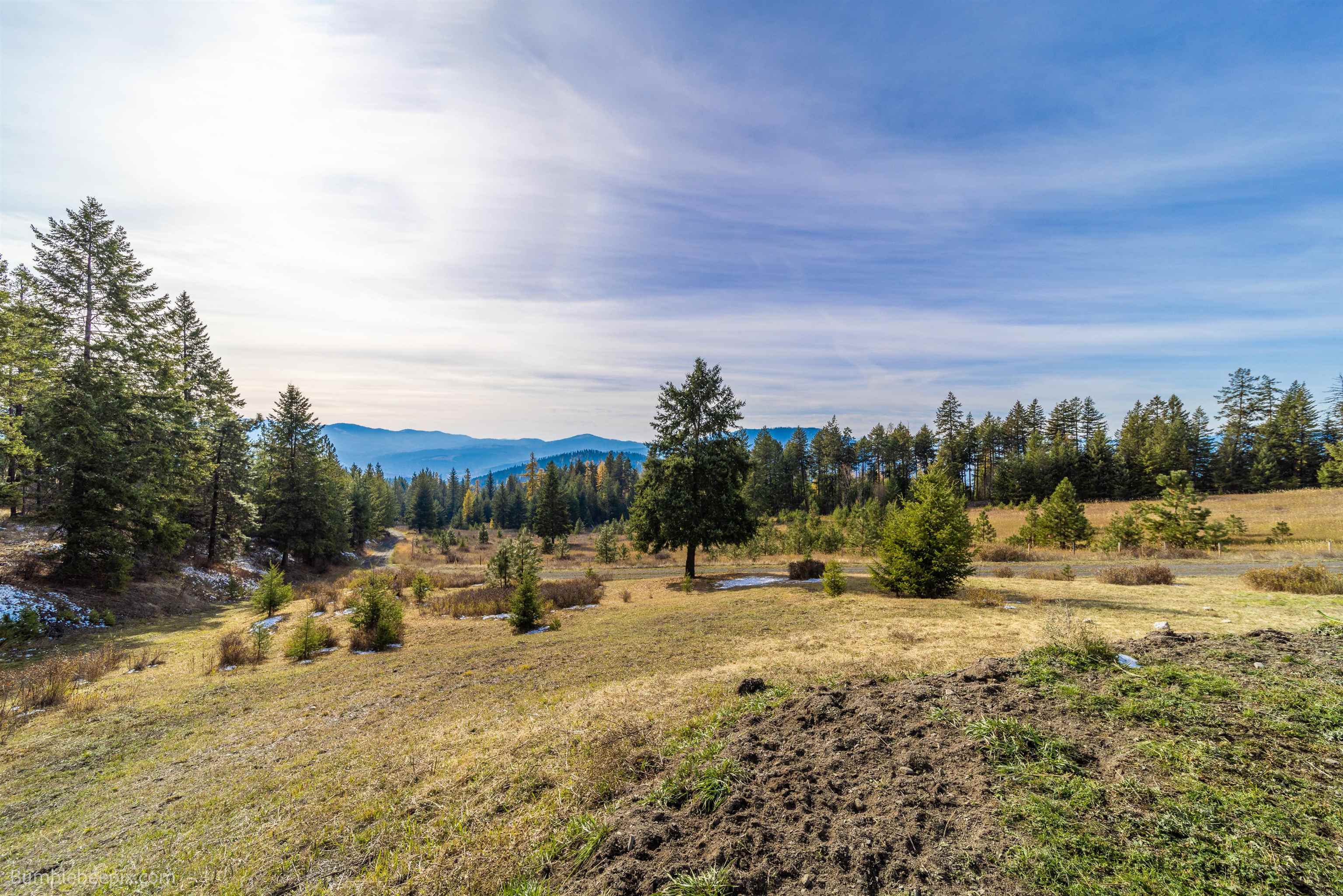 2534 Bodie Mountain Road Colville, WA 99114 - Photo 6 of 36