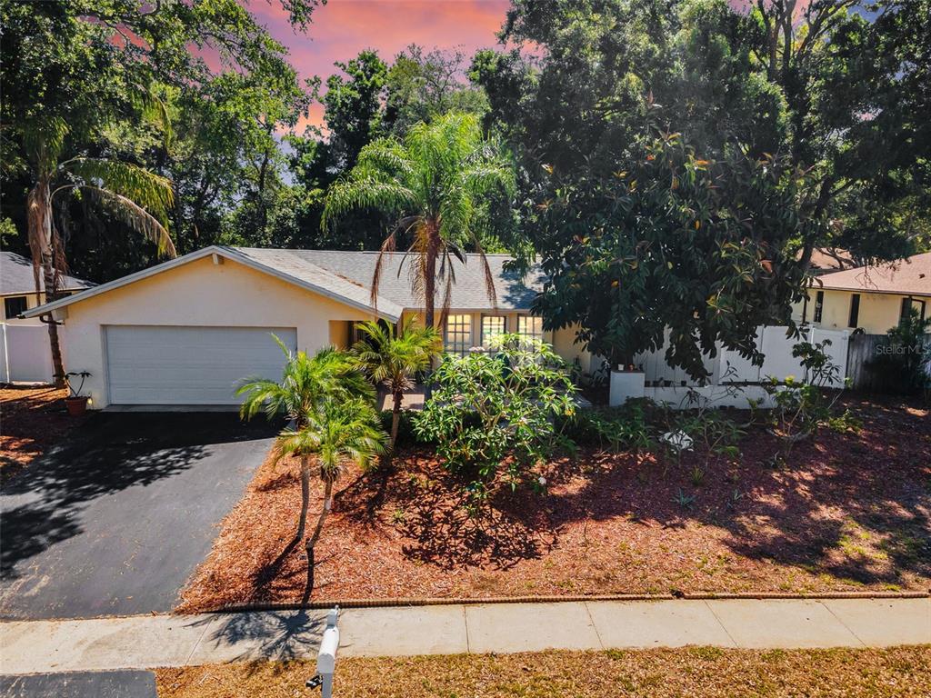 520 Sandy Hook Road Palm Harbor, FL 34683 - Photo 46 of 76