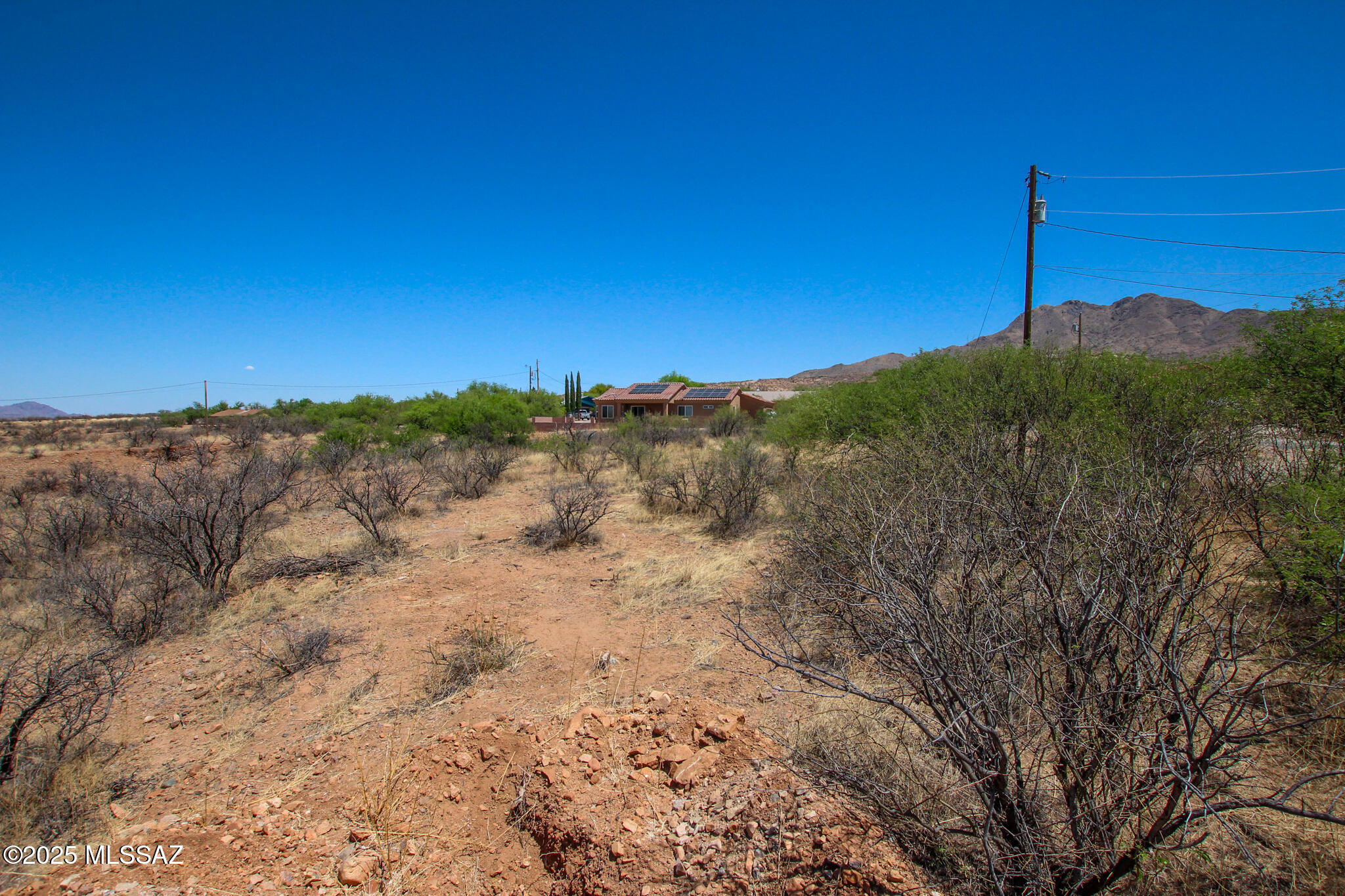1398 Anclar Court, Unit 18 Rio Rico, AZ 85648 - Photo 18 of 30 a view of a forest