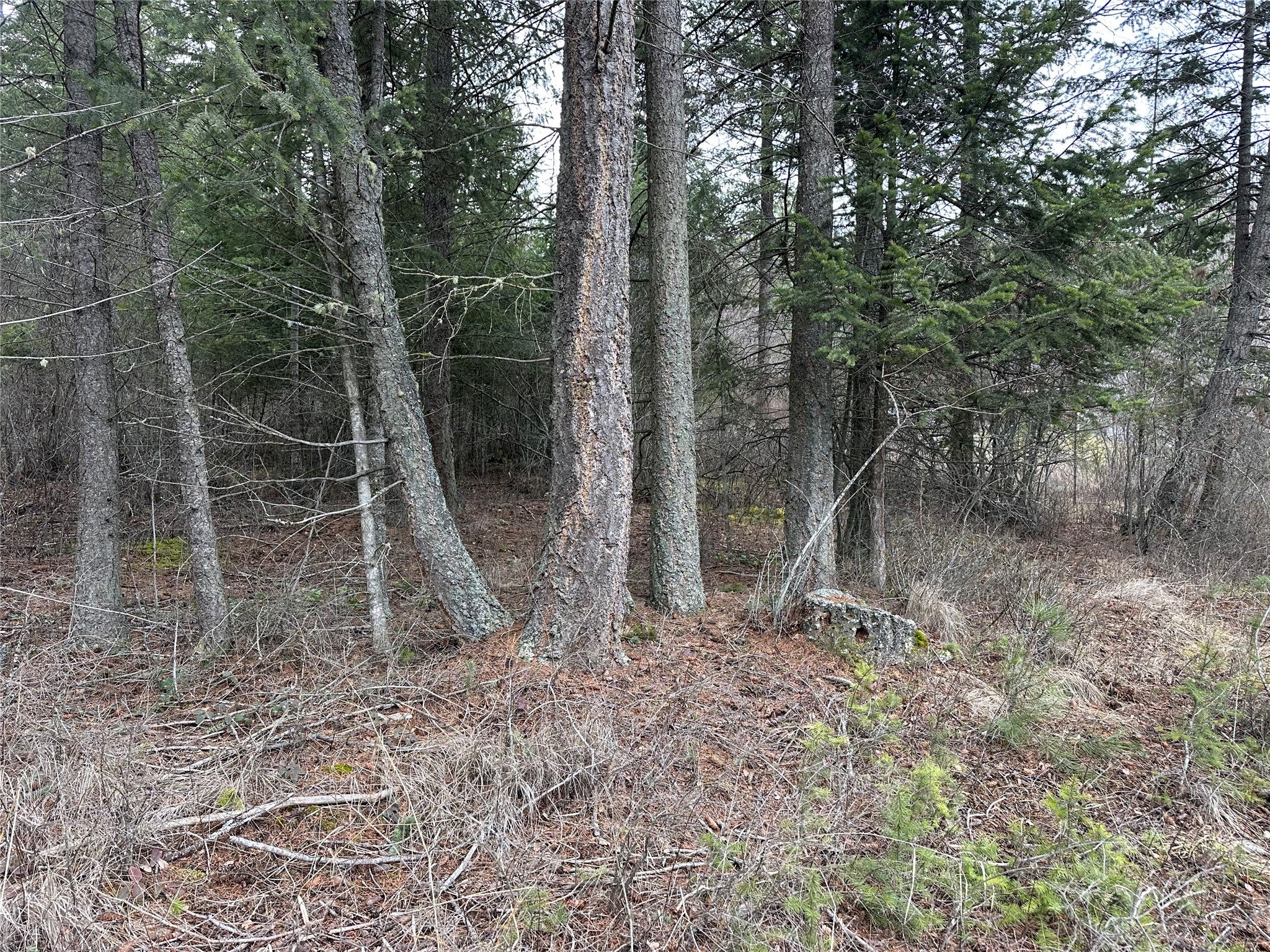 66 Angel Pt Road Lakeside, MT 59922 - Photo 38 of 38 Gallery Image 38