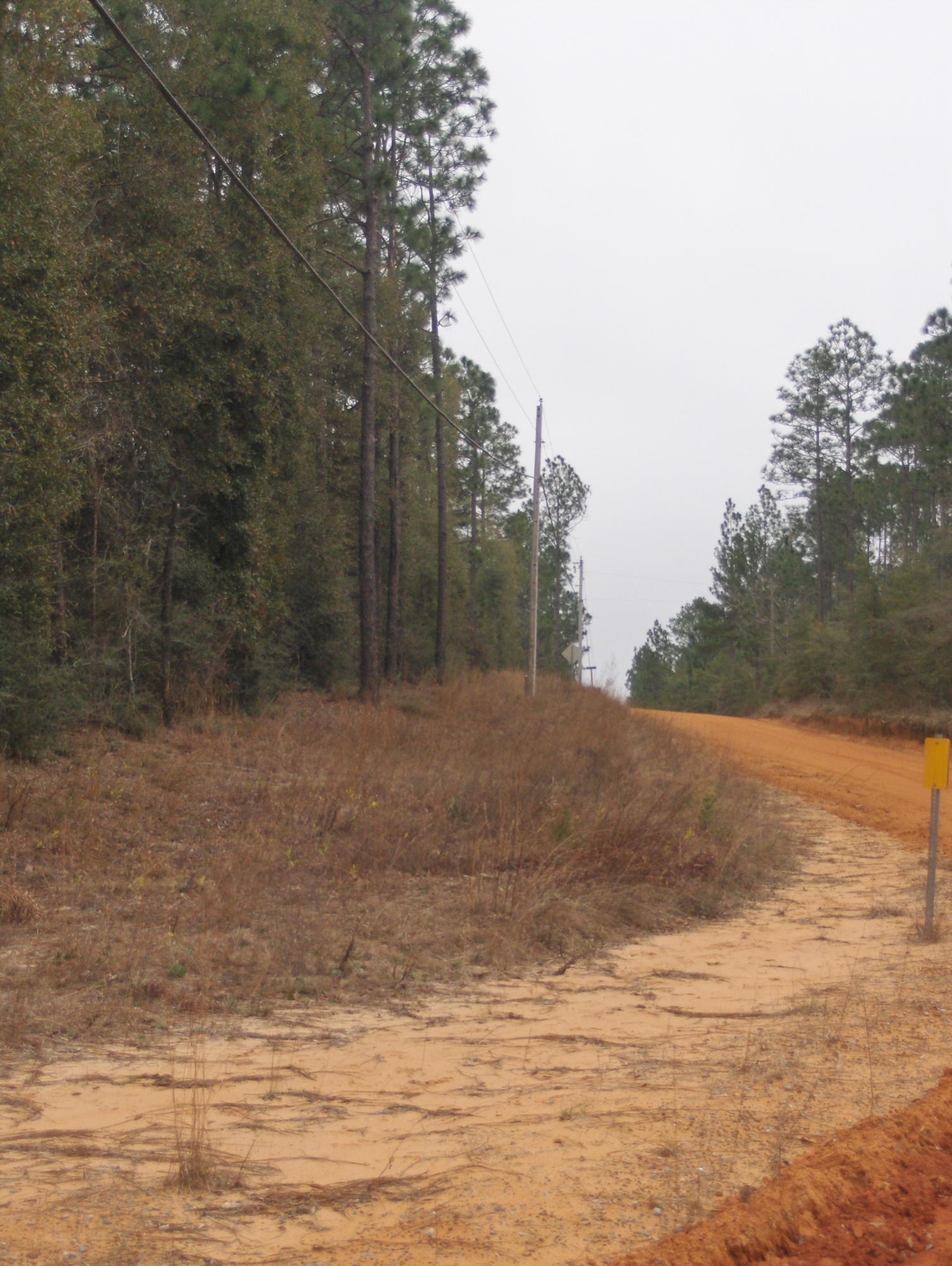 2.26-acres Walthal Road Crestview, FL 32539 - Photo 11 of 11 a view of a dry yard with trees