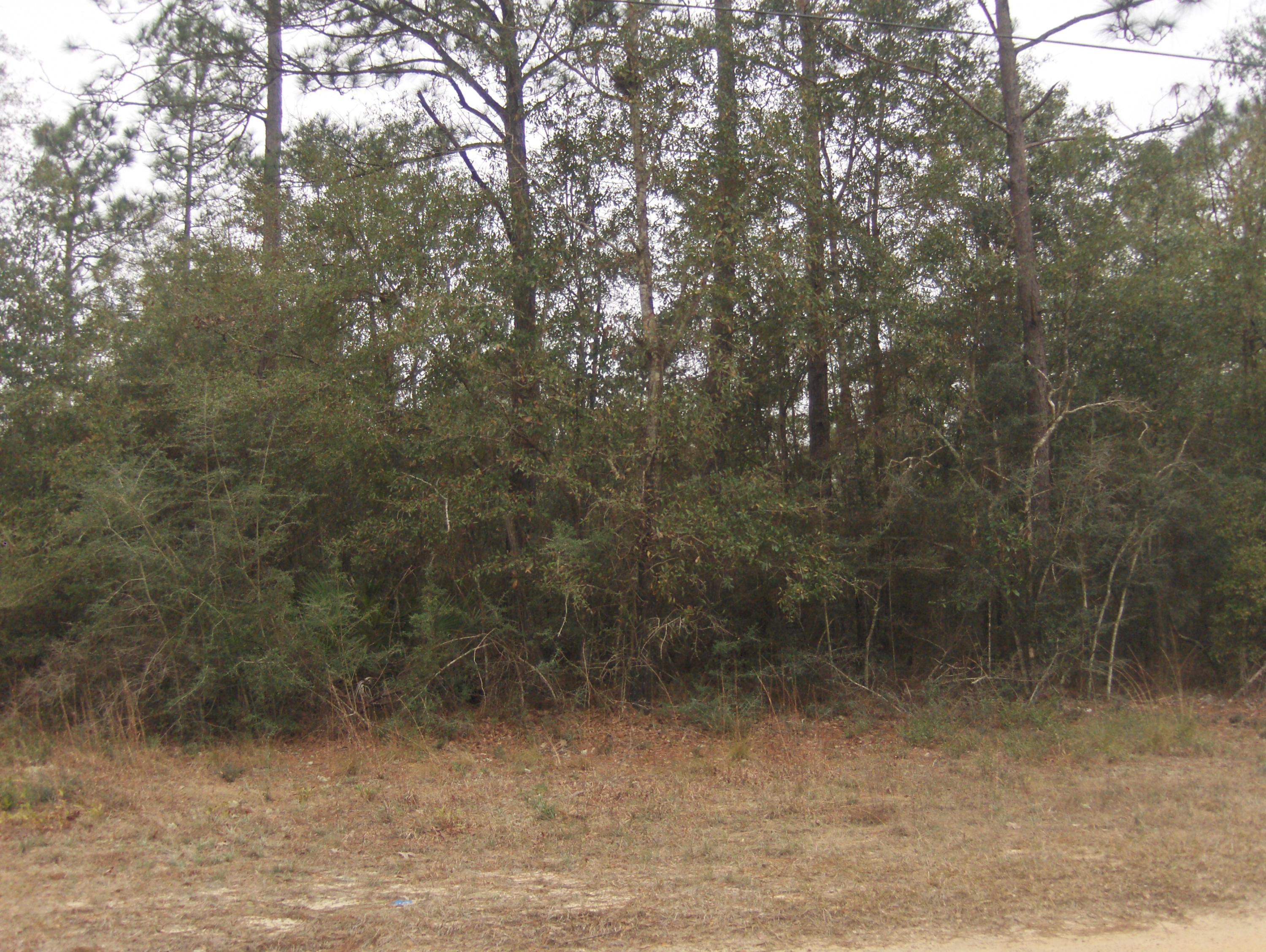 2.26-acres Walthal Road Crestview, FL 32539 - Photo 9 of 11 a view of a yard
