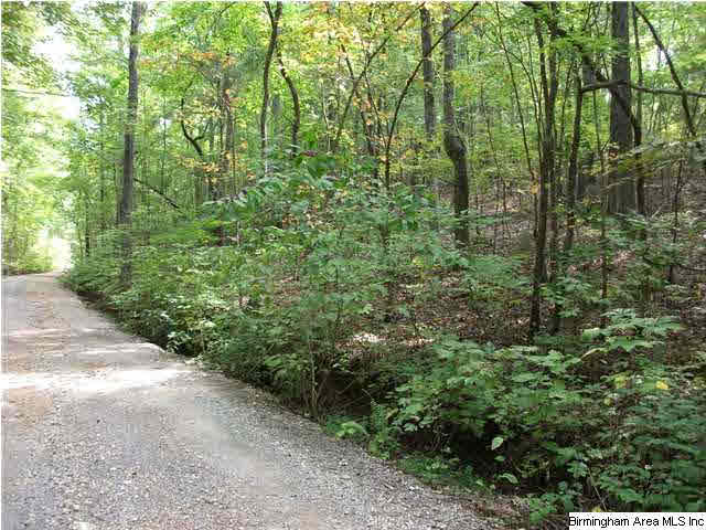777 Clayton Cove Road, Unit 33 AC Pinson, AL 35126 - Photo 8 of 20
