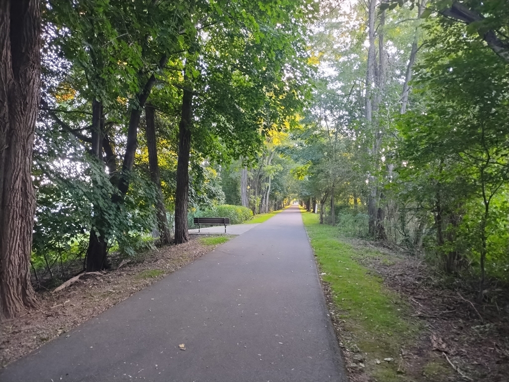 26 Russell Street, Unit AB Hadley, MA 01035 - Photo 41 of 42 a view of a road with trees in front of it