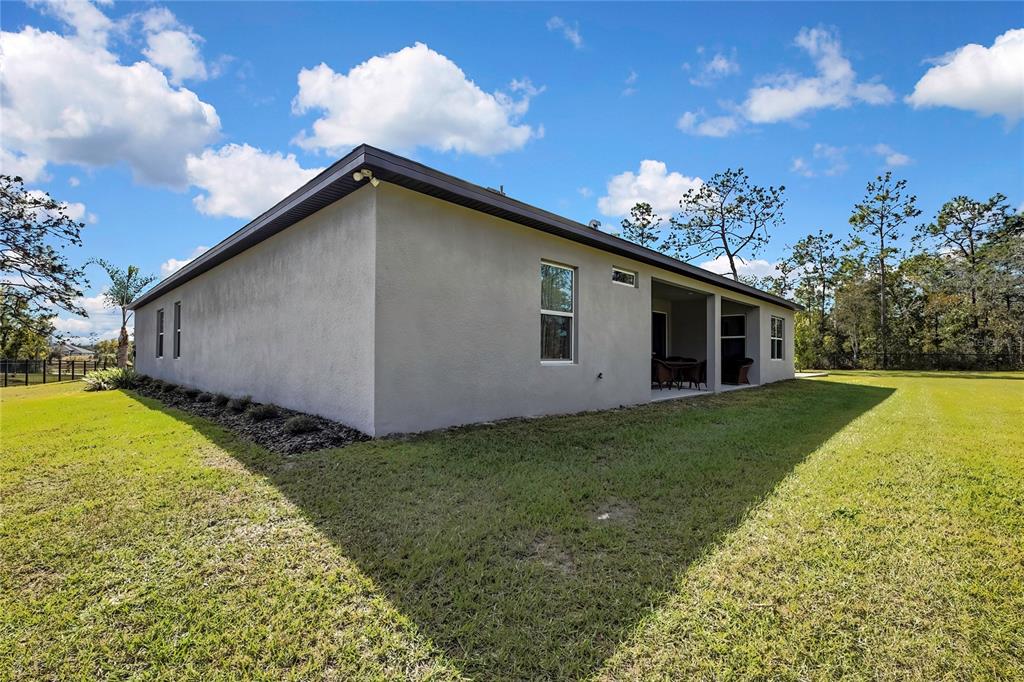 9504 Earthwind Court Weeki Wachee, FL 34613 - Photo 36 of 48 a view of a backyard with plants and large trees
