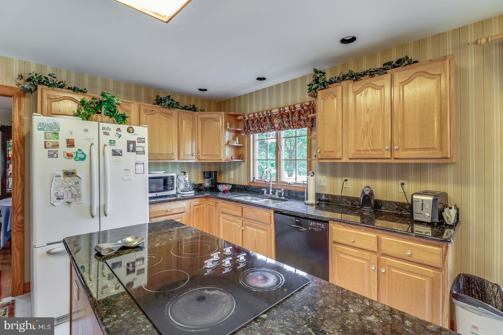 199 West Pebworth Road Magnolia, DE 19962 - Photo 16 of 43 Kitchen