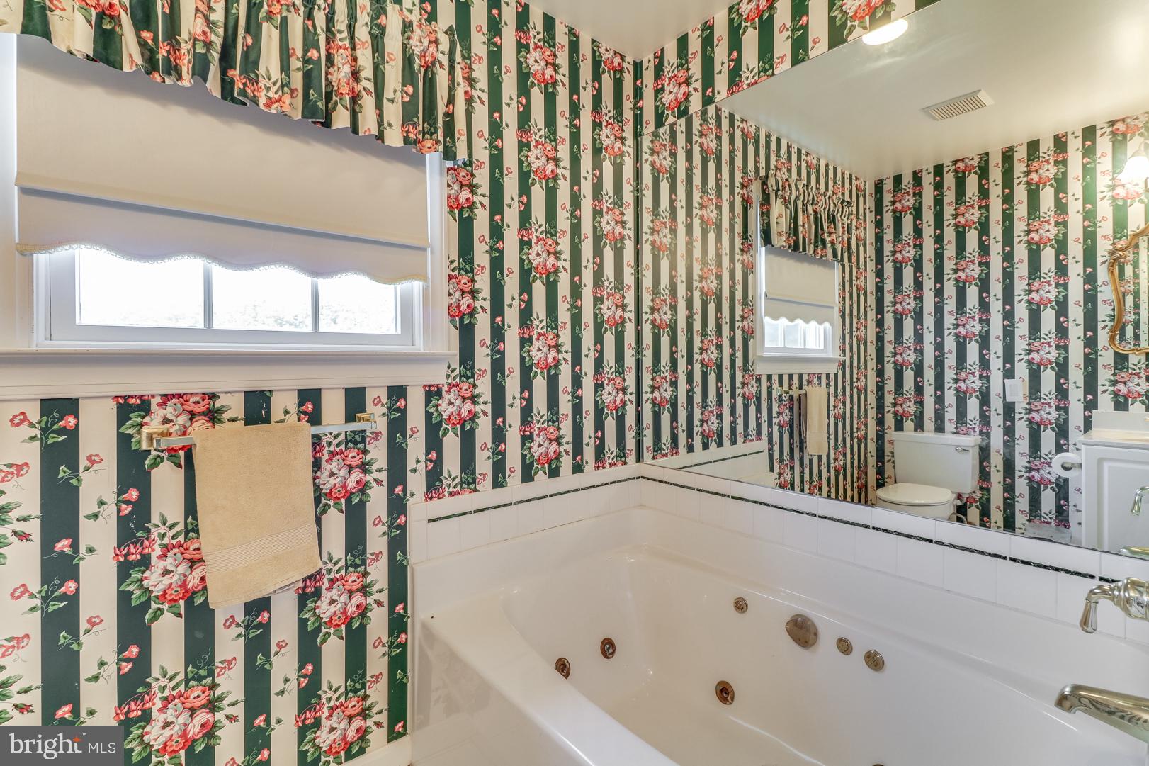 199 West Pebworth Road Magnolia, DE 19962 - Photo 35 of 43 Hall Bath