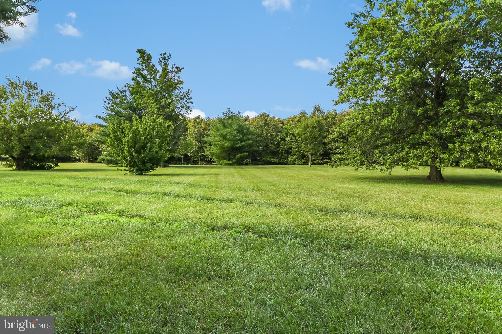 199 West Pebworth Road Magnolia, DE 19962 - Photo 42 of 43 Back Yard