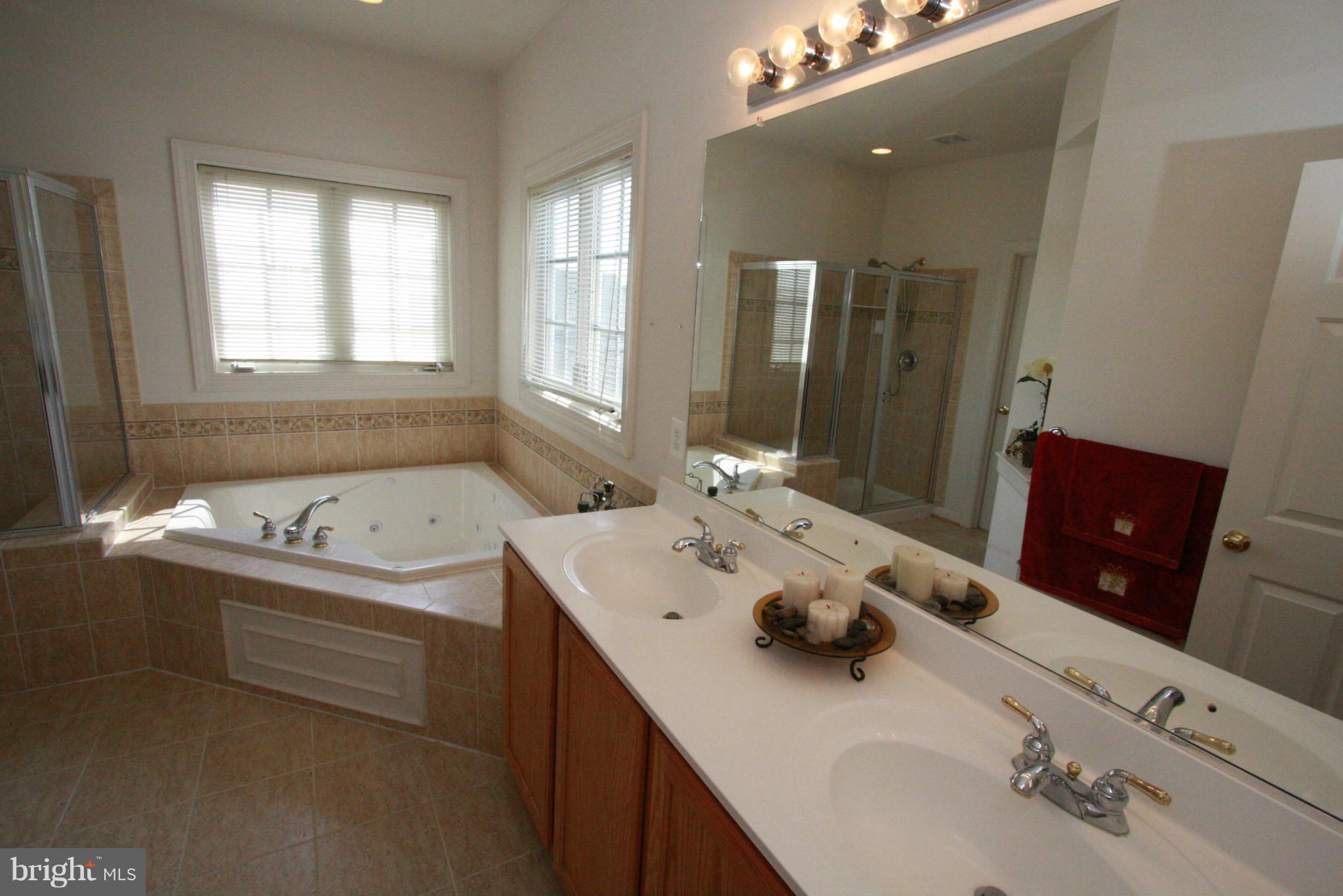 12007 Chestnut Glen Road Clarksburg, MD 20871 - Photo 15 of 29 Bath (Master)