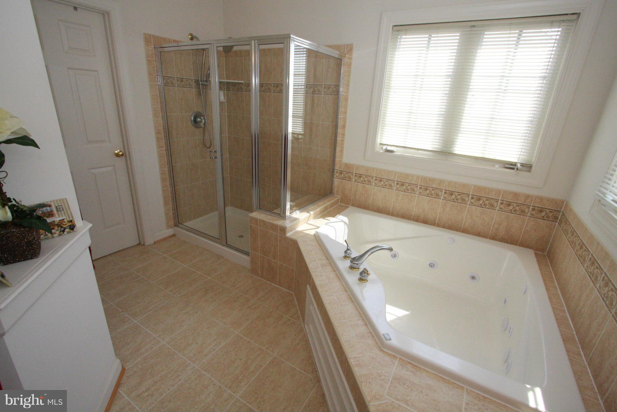 12007 Chestnut Glen Road Clarksburg, MD 20871 - Photo 16 of 29 Bath (Master)