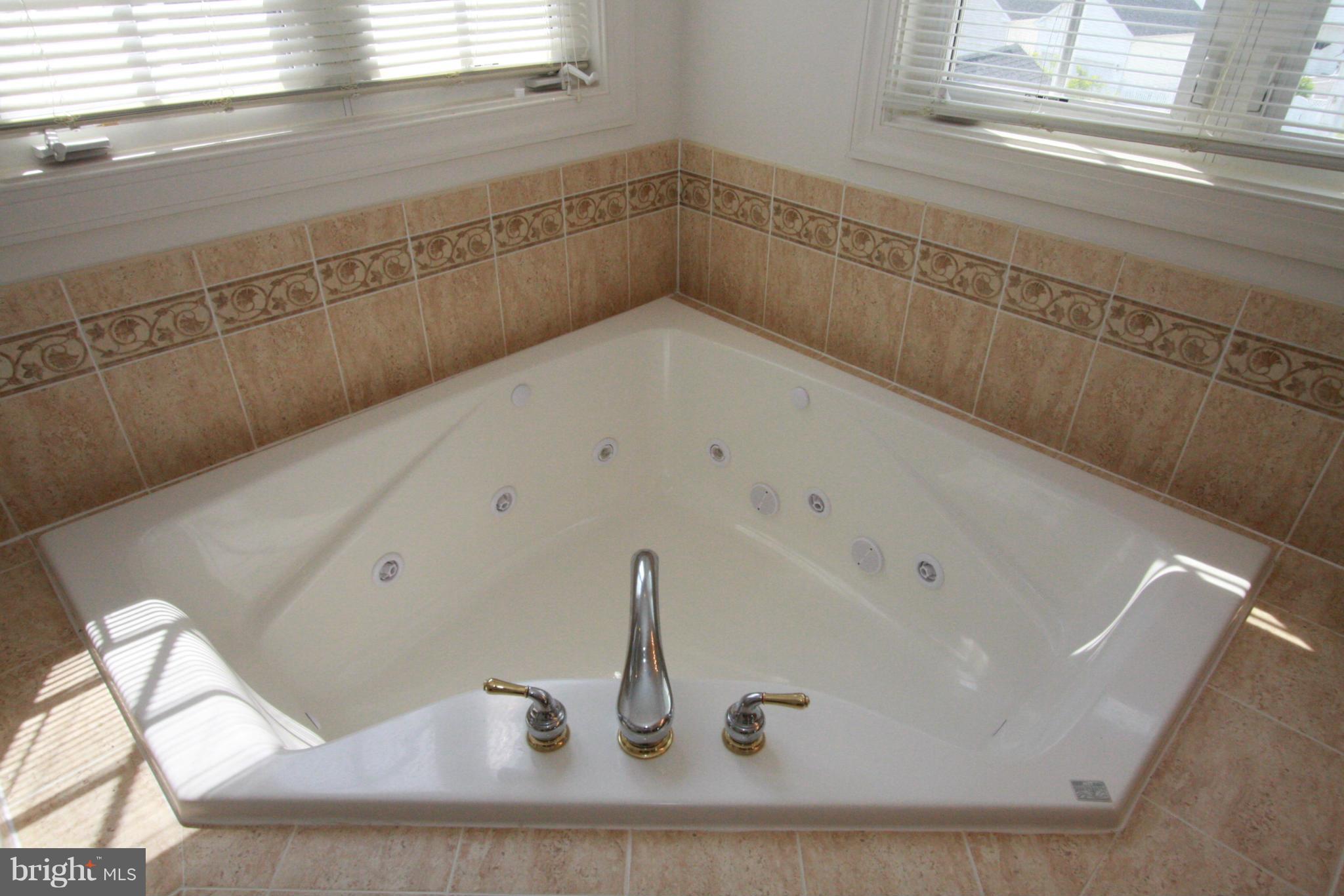 12007 Chestnut Glen Road Clarksburg, MD 20871 - Photo 17 of 29 Bath (Master)