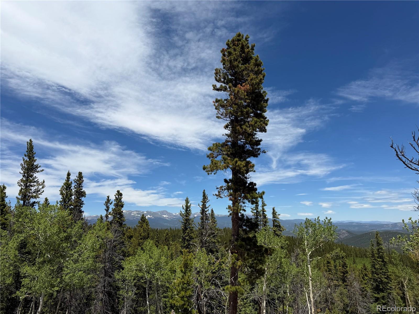 Lot 5 Roosevelt Ridge Black Hawk, CO 80422 - Photo 14 of 17