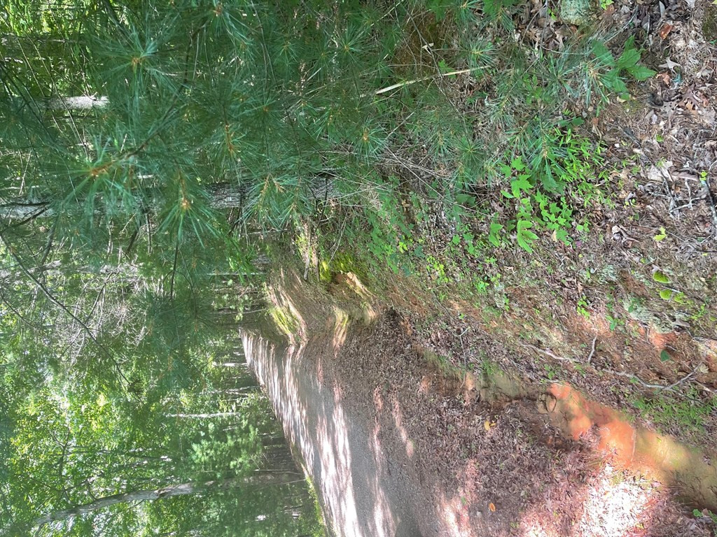 0 Chatto Loop Murphy, NC 28906 - Photo 2 of 4