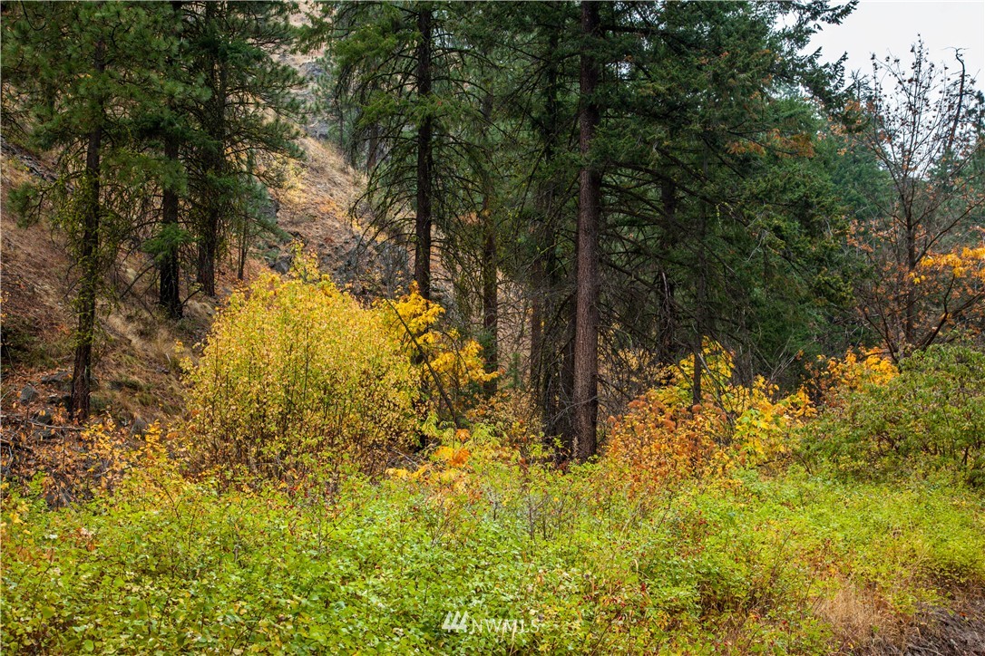 0 Olalla Canyon Road, Unit 10 Cashmere, WA 98815 - Photo 3 of 7 Gallery Image 3