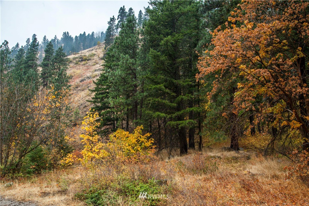 0 Olalla Canyon Road, Unit 10 Cashmere, WA 98815 - Photo 4 of 7 Gallery Image 4