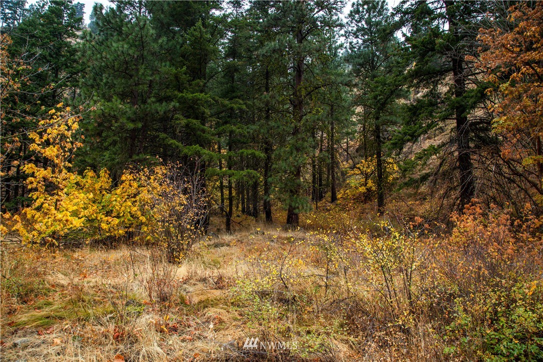 0 Olalla Canyon Road, Unit 10 Cashmere, WA 98815 - Photo 5 of 7 Gallery Image 5