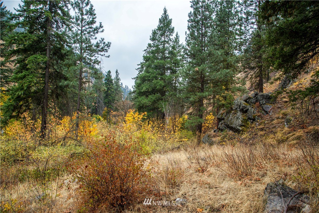 0 Olalla Canyon Road, Unit 10 Cashmere, WA 98815 - Photo 6 of 7 Gallery Image 6