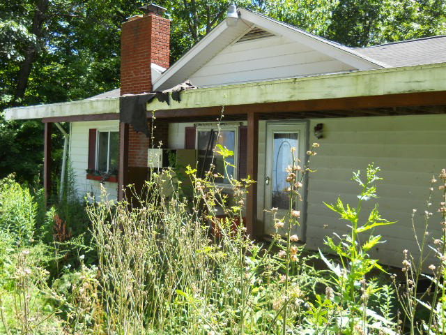 Main View
