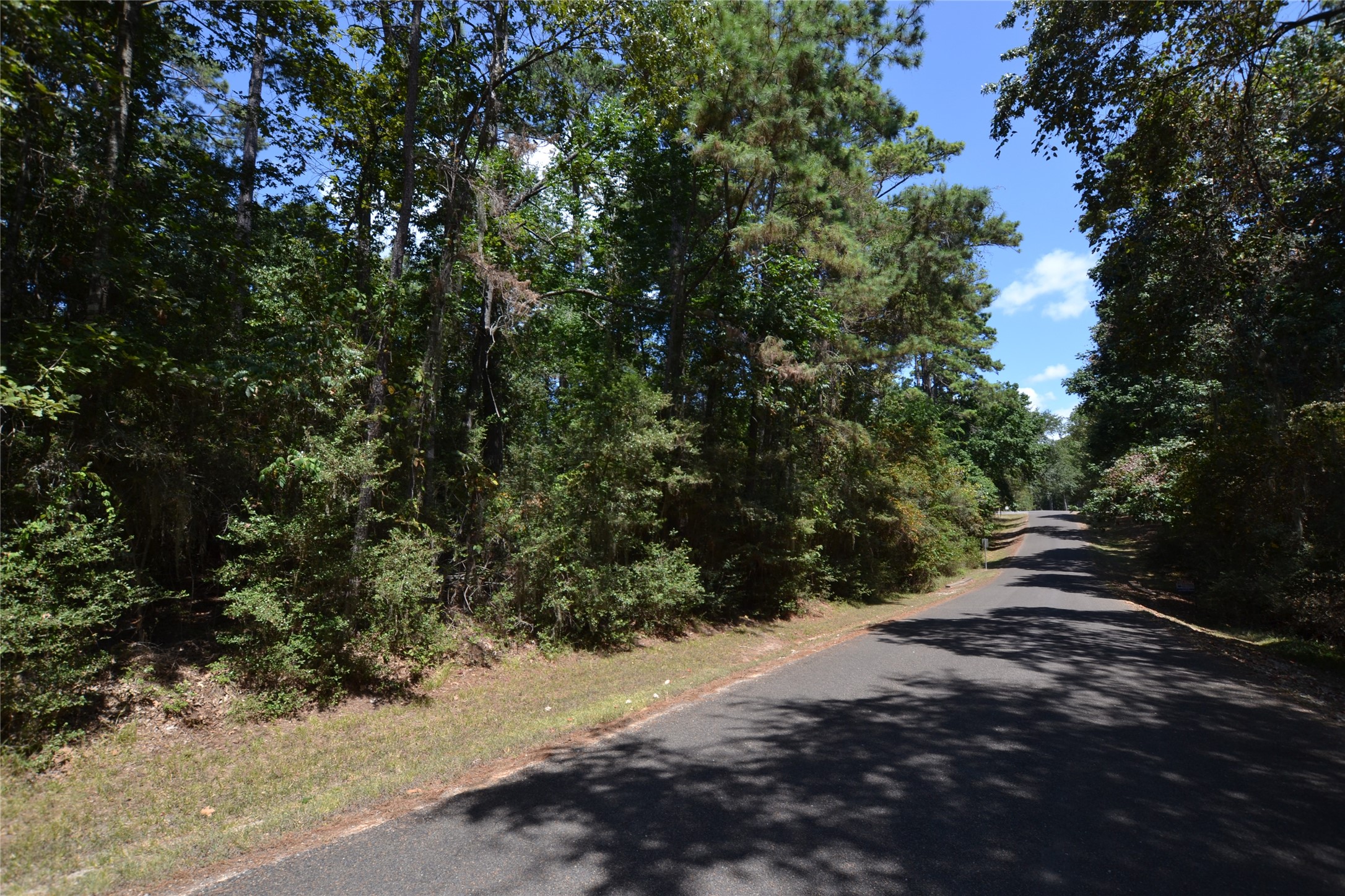 Tbd Rals Drive Onalaska, TX 77360 - Photo 1 of 6