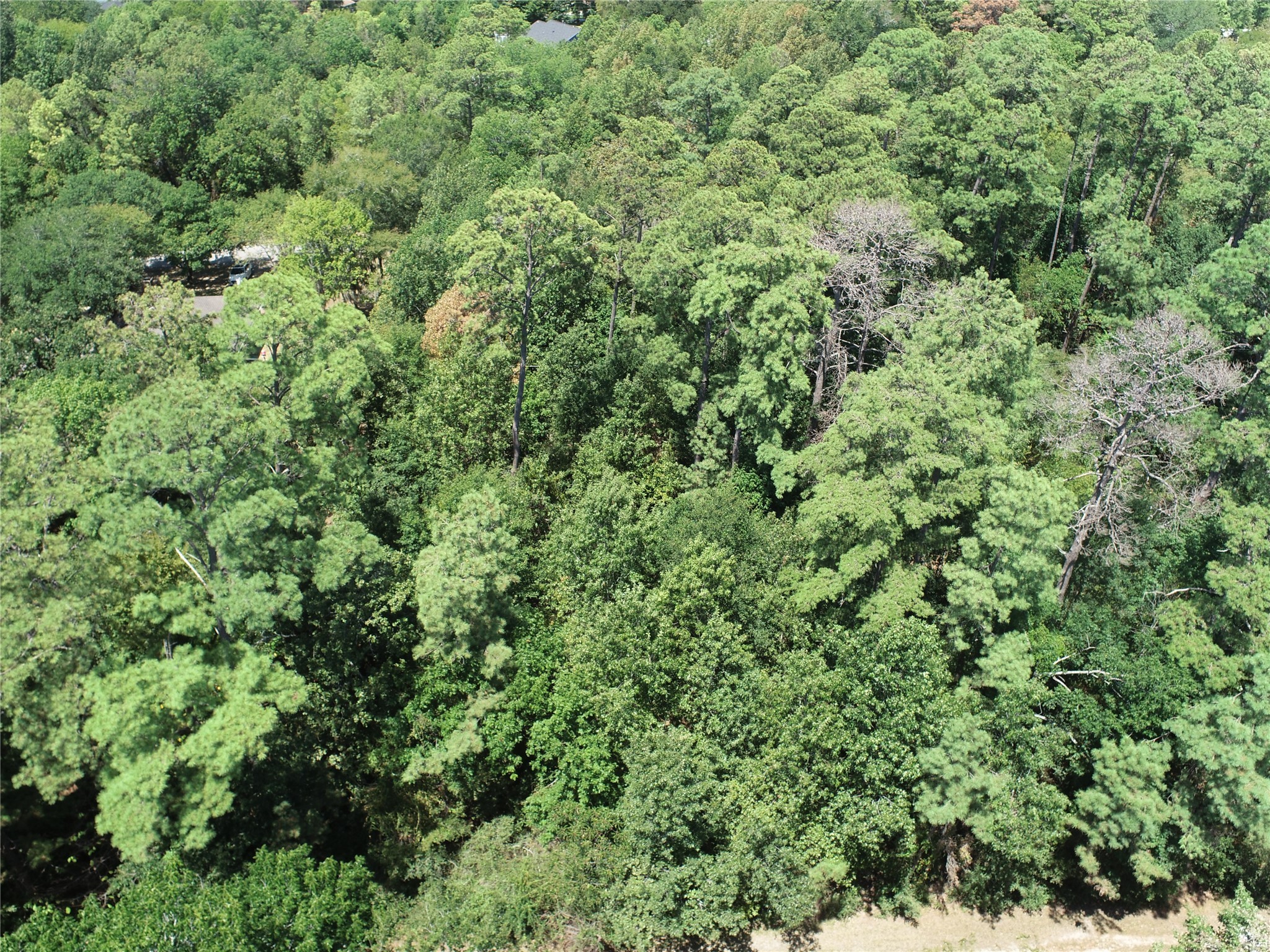 Tbd Rals Drive Onalaska, TX 77360 - Photo 6 of 6