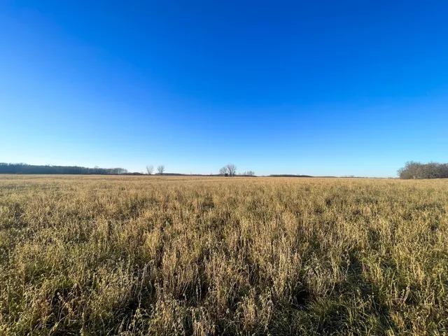 $117,000 | Tbd 440th Street Southeast, Fertile, MN 56540