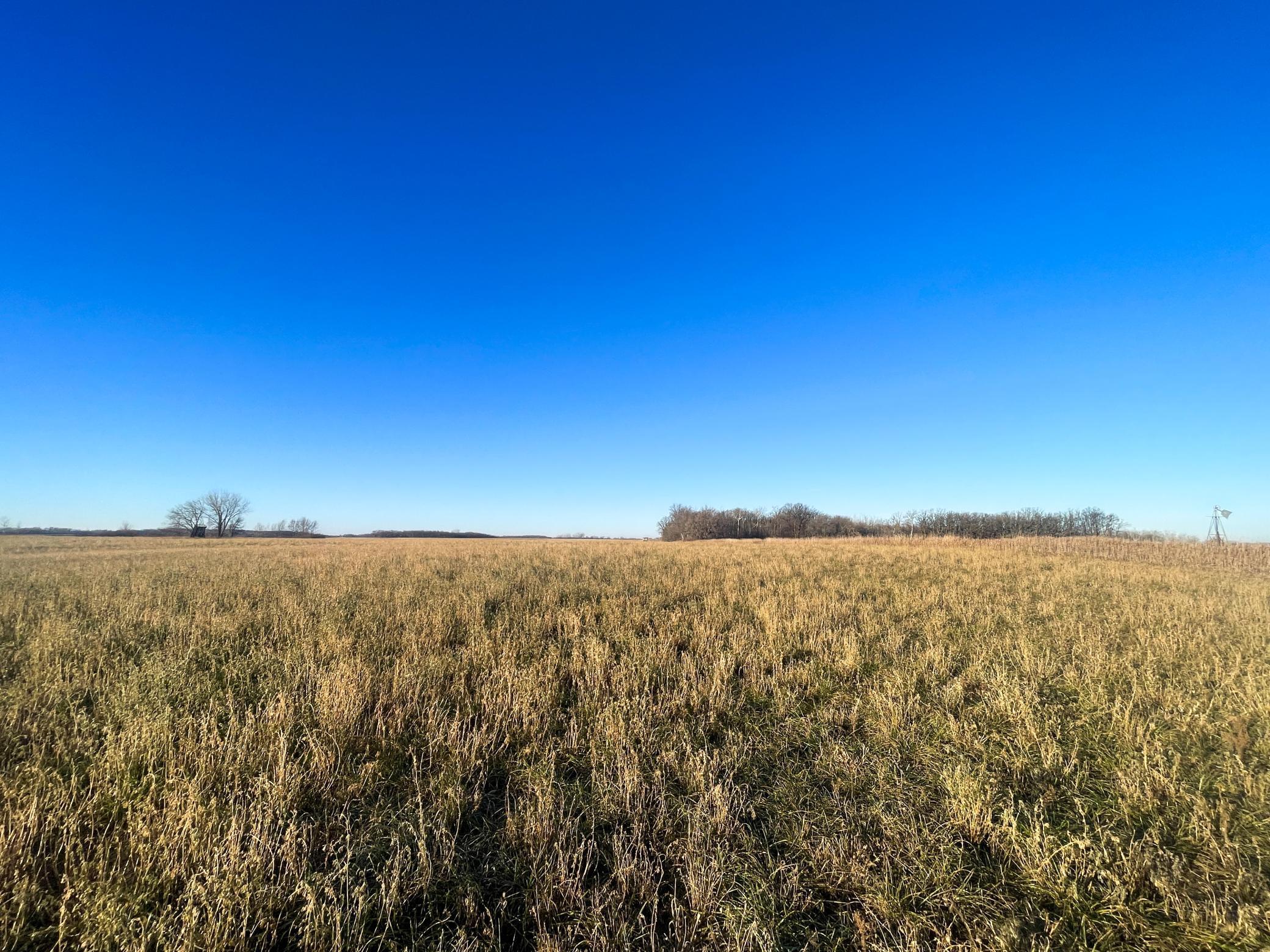 Tbd 440th Street Southeast Fertile, MN 56540 - Photo 18 of 43