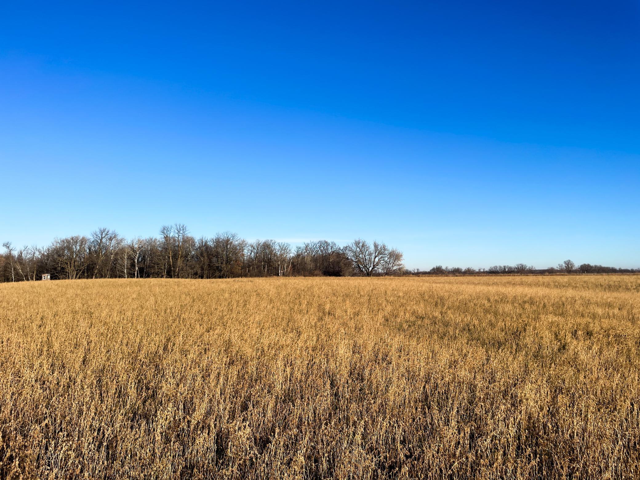 Tbd 440th Street Southeast Fertile, MN 56540 - Photo 19 of 43