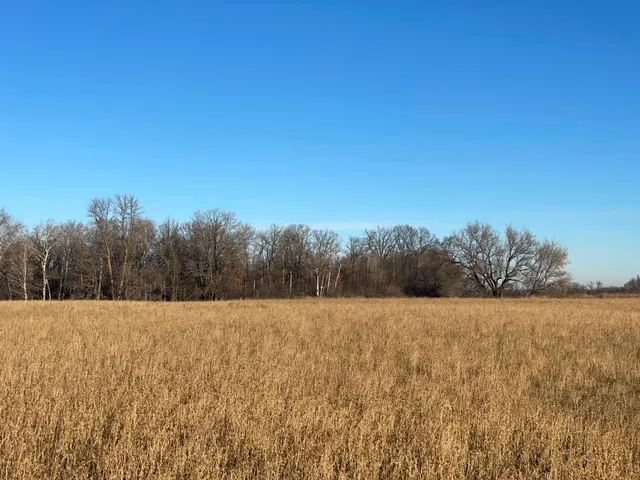 $117,000 | Tbd 440th Street Southeast, Fertile, MN 56540